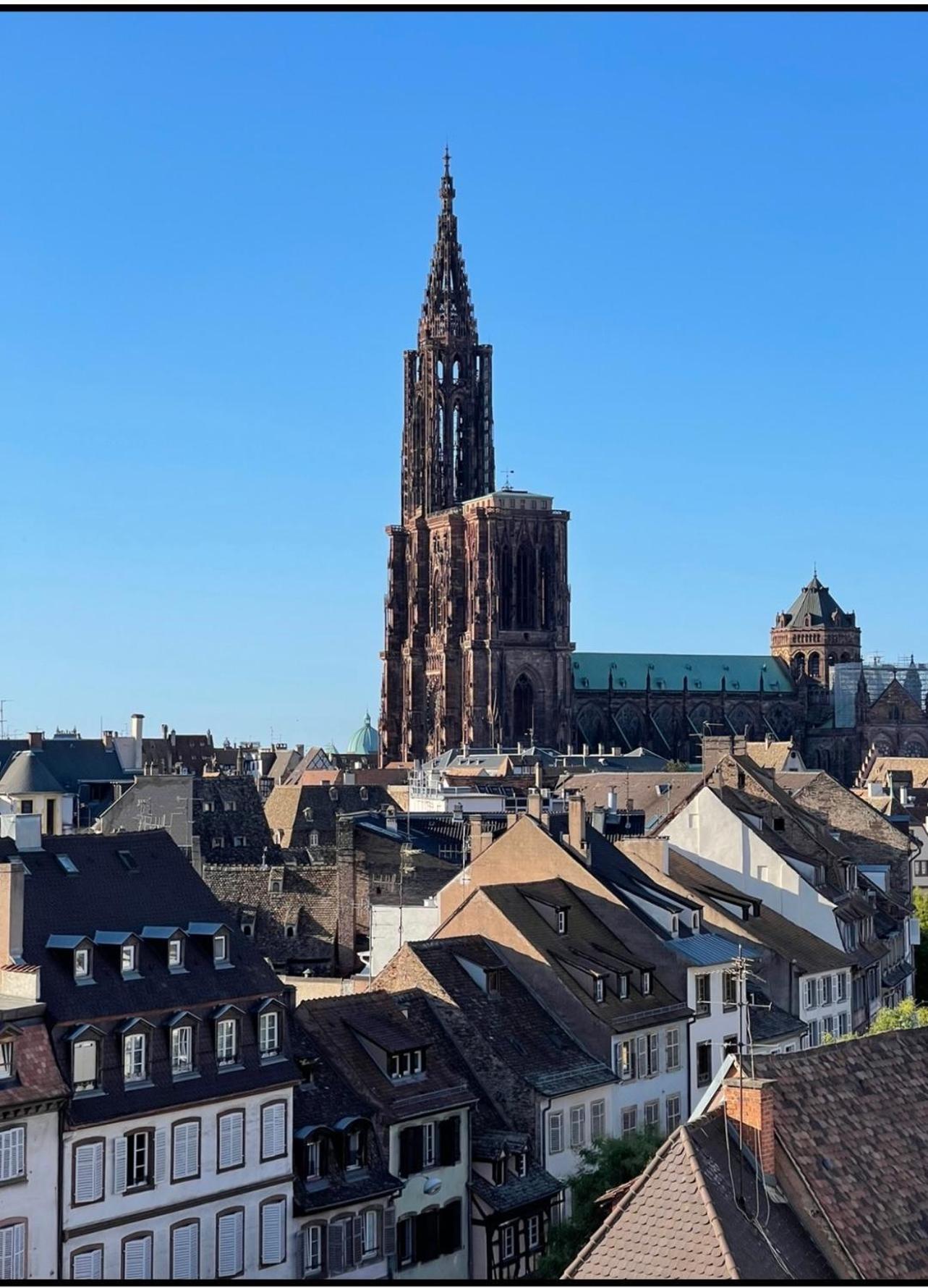 Appartement La Rose Strasbourg